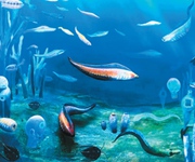 �ƽ��_���ġ��u׃Փ�����o�y�}